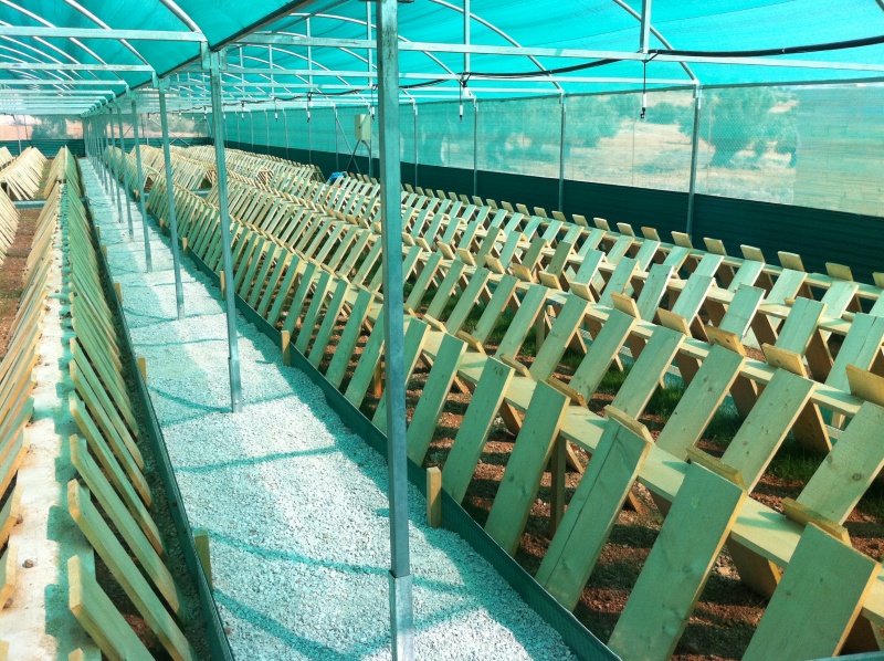 Αρχείο:Εκτροφείο κλειστού τύπου.jpg