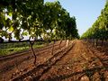 Μικρογραφία για την έκδοση της 16:48, 8 Ιανουαρίου 2014