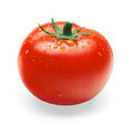 Αναρριχώμενη ποικιλία ντομάτας Atermona F1.jpg