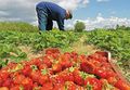 Μικρογραφία για την έκδοση της 13:15, 19 Σεπτεμβρίου 2013